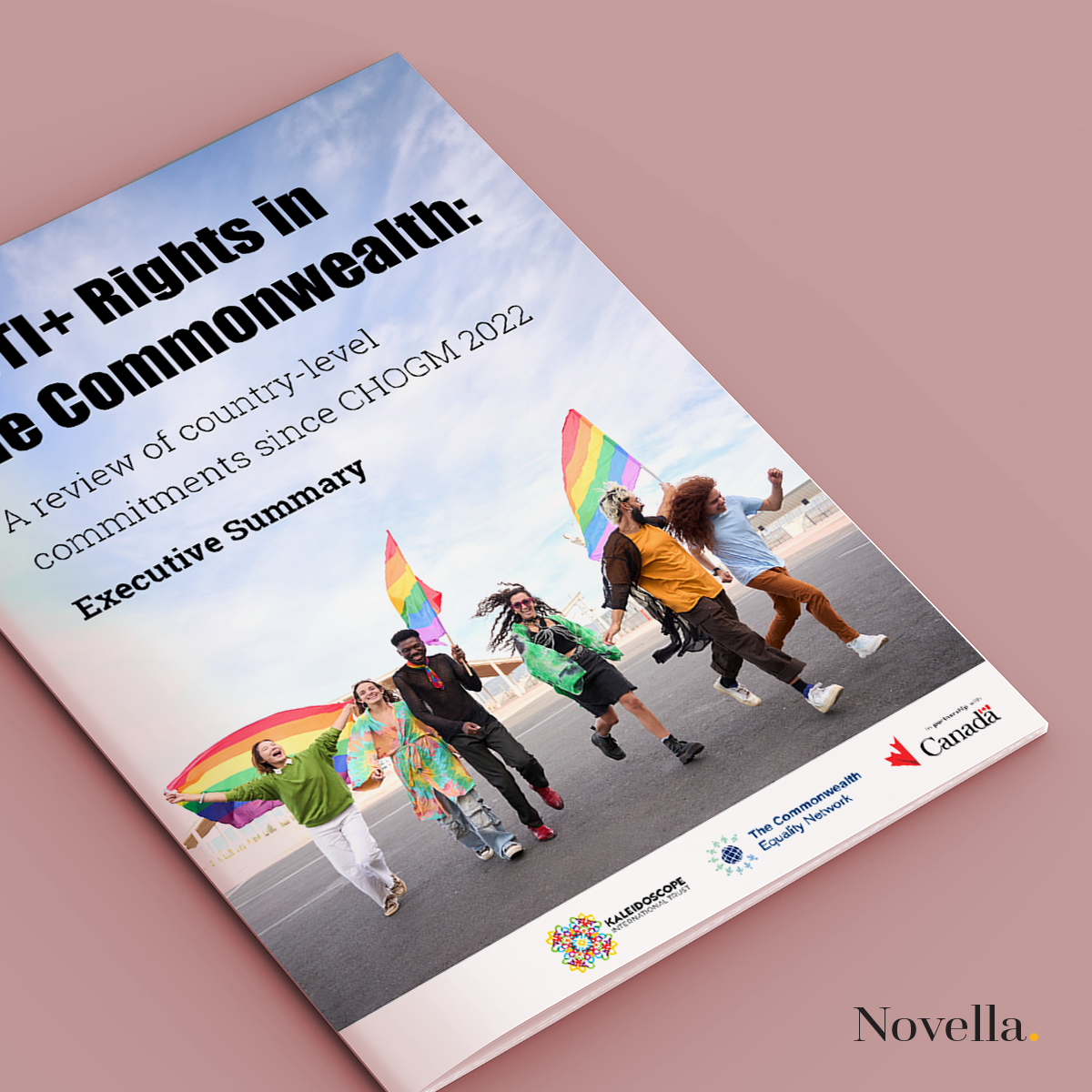 CHOGM Shadow Report at a Glance